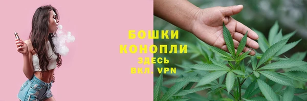 ALPHA PVP Козельск